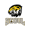 Seoul Tigers