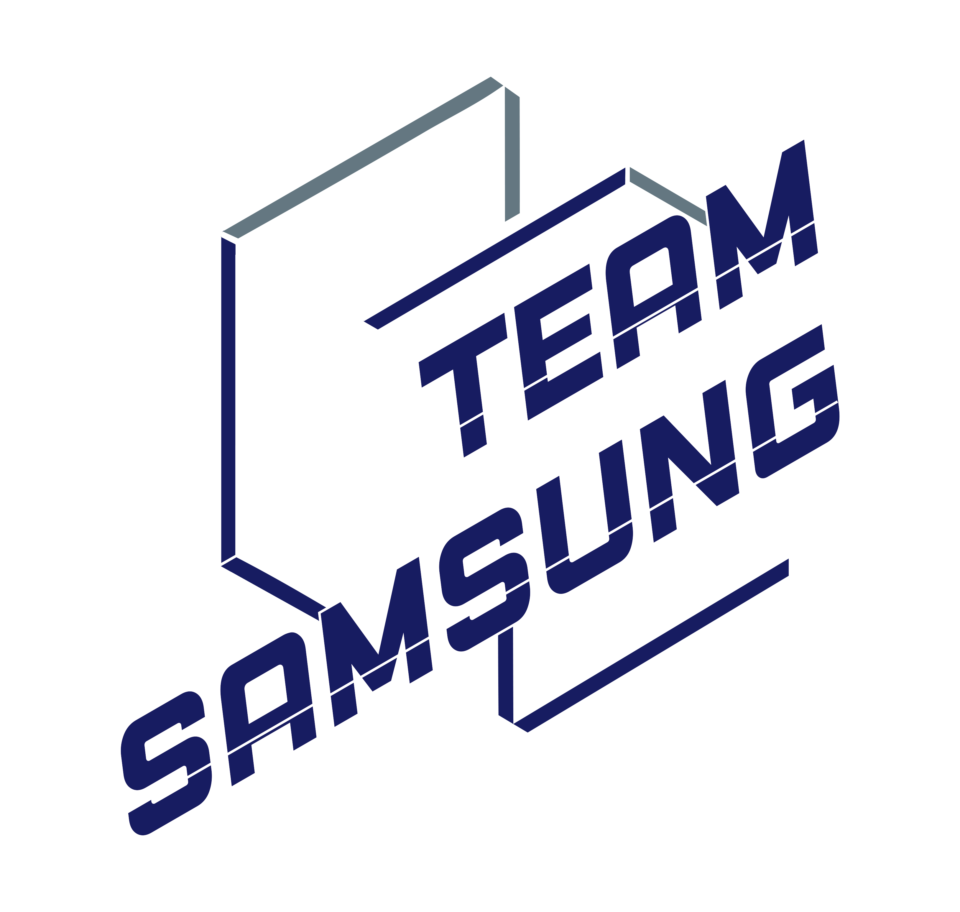 TEAM Samsung(W)